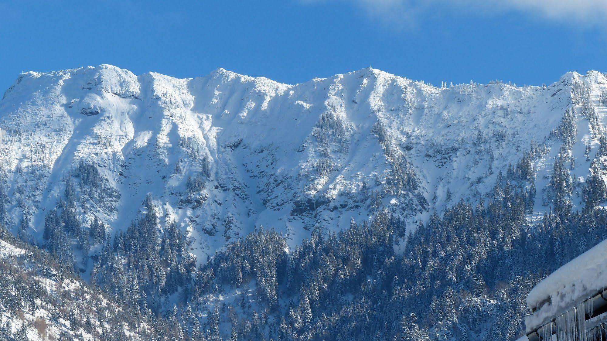Hotel Restaurant Amadeus - Inclusive Skipass Und Vieles Mehr Bad Hindelang Exteriör bild